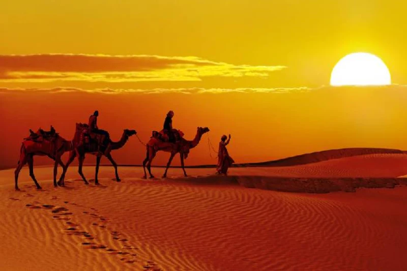 Desert Tour Jaisalmer 01 Night 02 Days